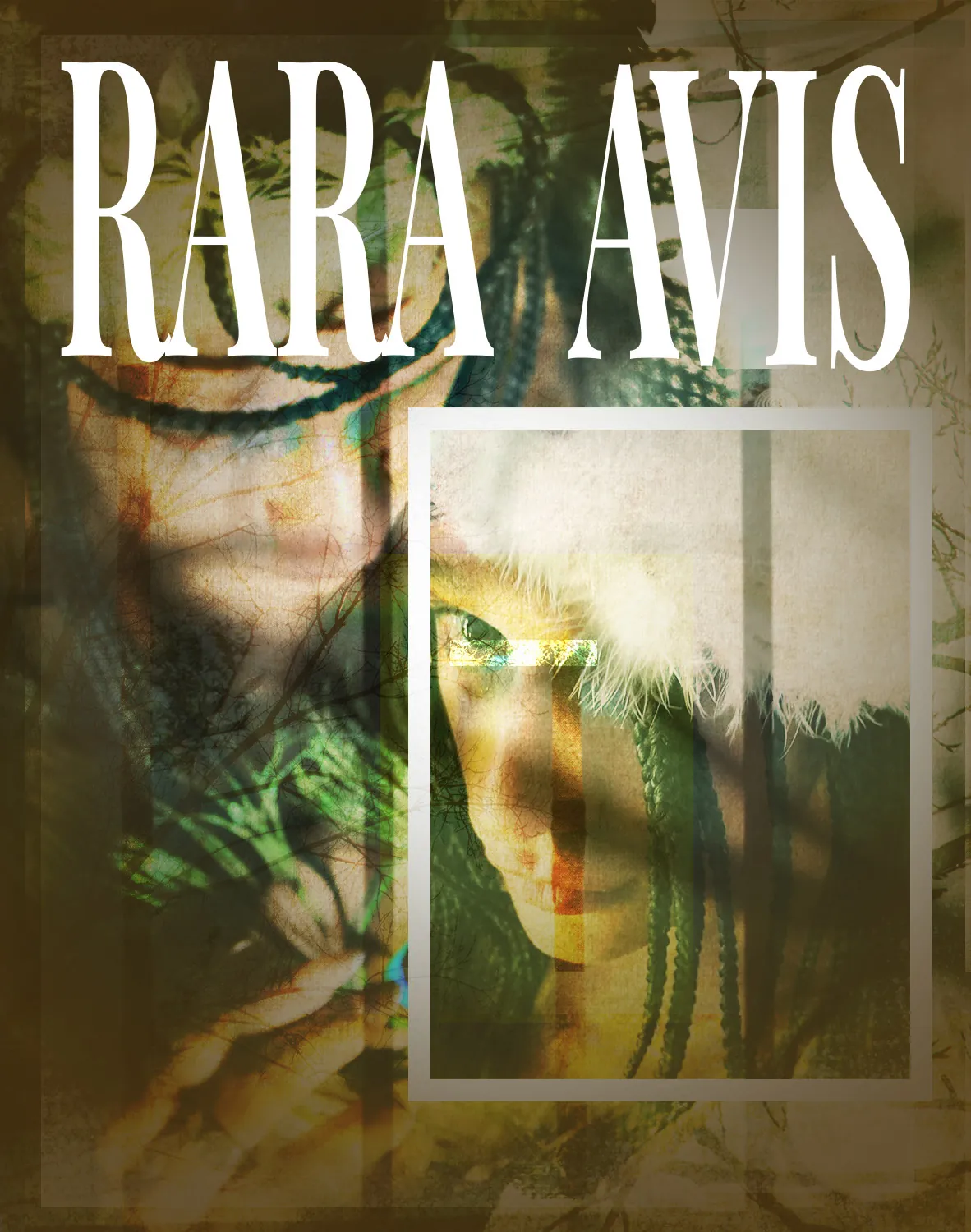 Afiche de Rara Avis